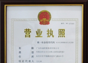 Steam控股集團營業(yè)執(zhí)照